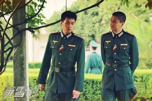 新雪豹在线观看全集,揭秘神秘雪域传奇